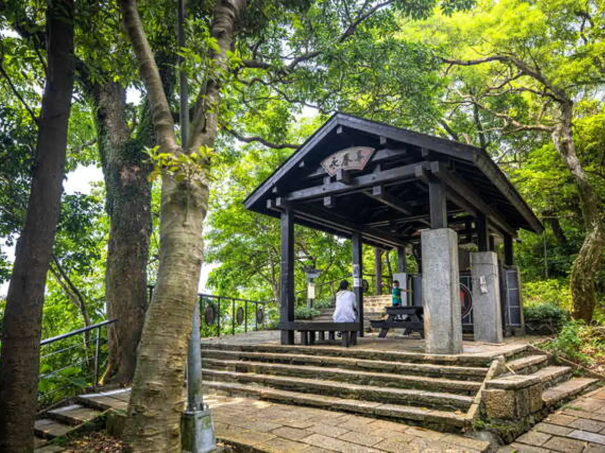 臺北夜景推薦｜象山、貓空與大稻埕夜遊指南封面