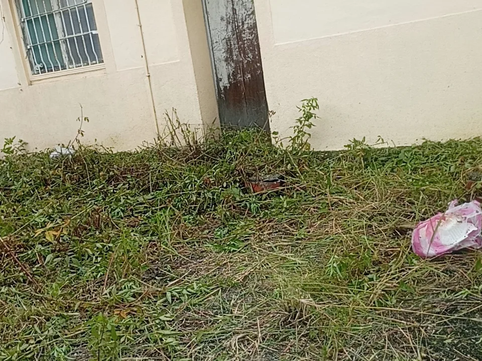 奇美高雄鳥松人力仲介派遣打石拆裝潢油漆除草鋸樹臨時工粗工0989439480封面