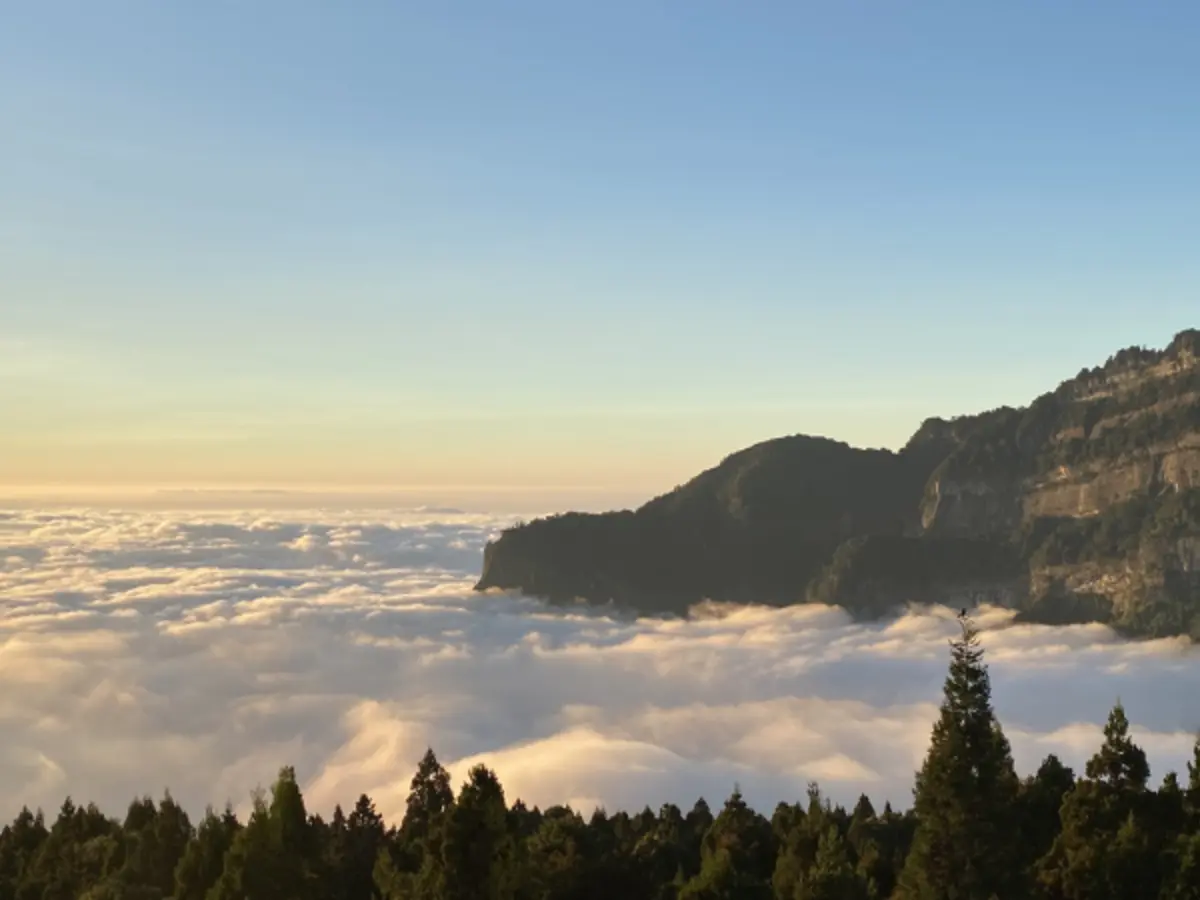嘉義縣山上夜景推薦｜阿里山、小笠原山與二延平指南封面