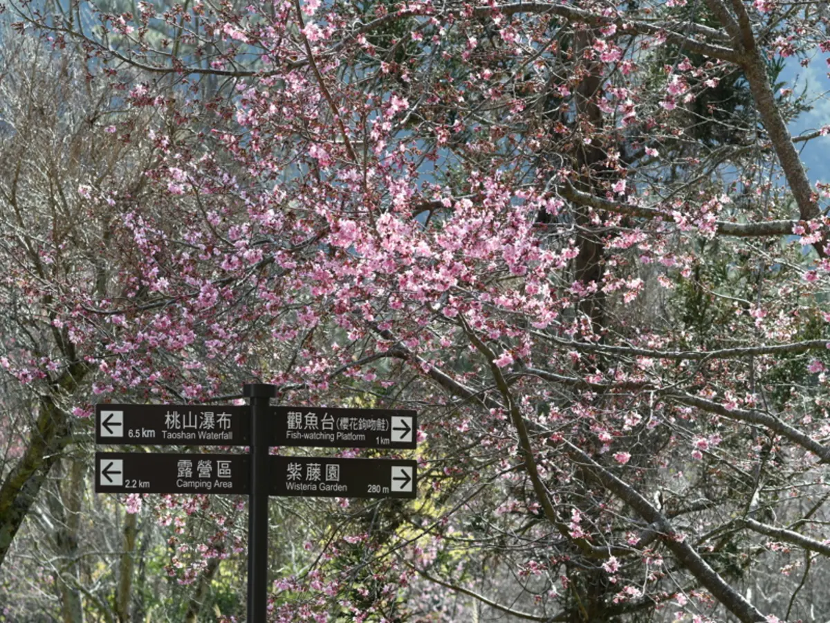 武陵農場｜拍攝者：參山國家風景區管理處 製作單位：交通部觀光署參山國家風景區管理處