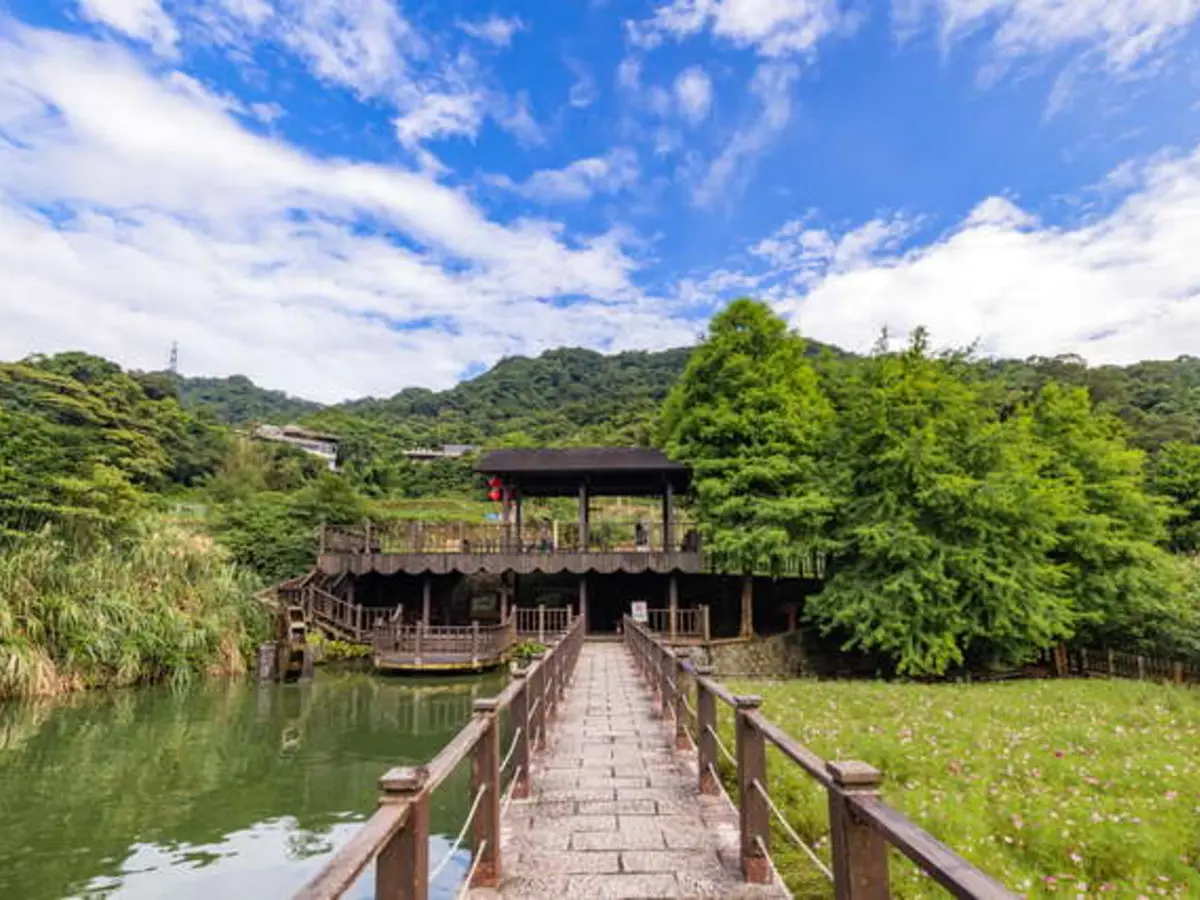 貓空樟樹步道｜臺北市政府