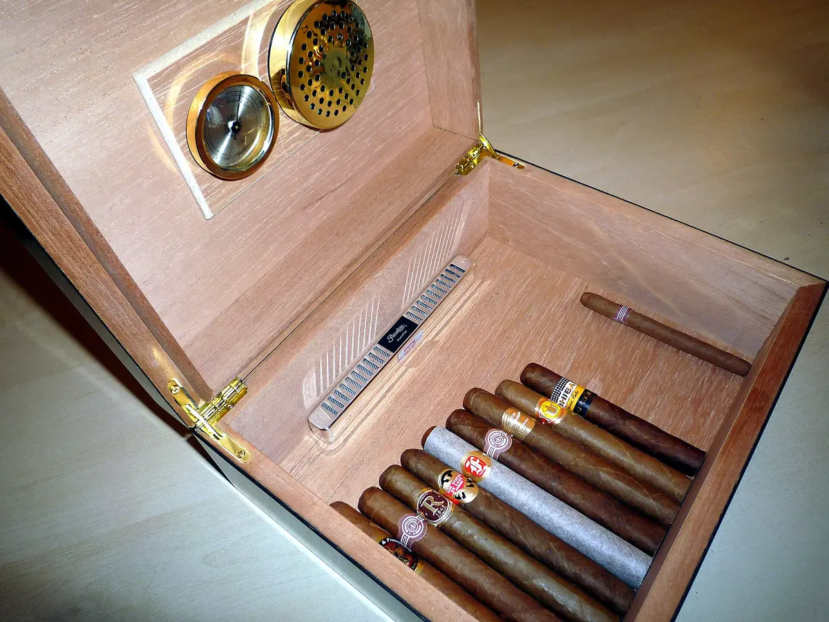 Humidor innen.jpg｜Langinger