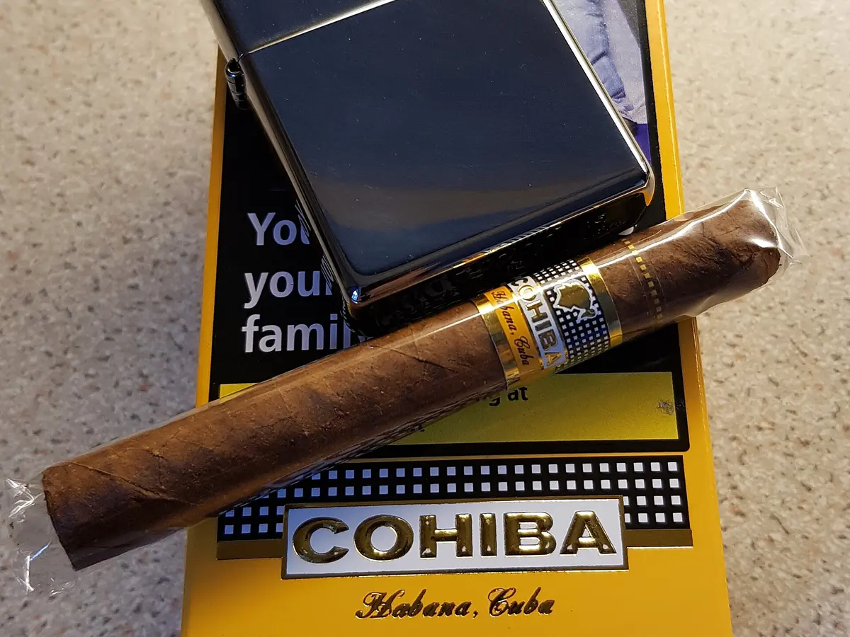 Cohiba Shorts.jpg｜DanielMichaelPerry